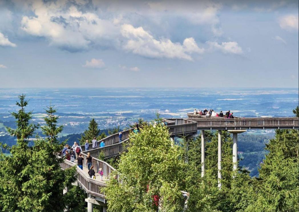Ferienwohnung Mit Extra Schlafzimmer Und Blick In Den Bayrischen Wald Oberhalb Von Sankt Engelmar Санкт-Энгльмар Экстерьер фото